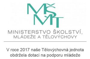 msmt