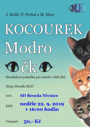 Kocourek Modroočko